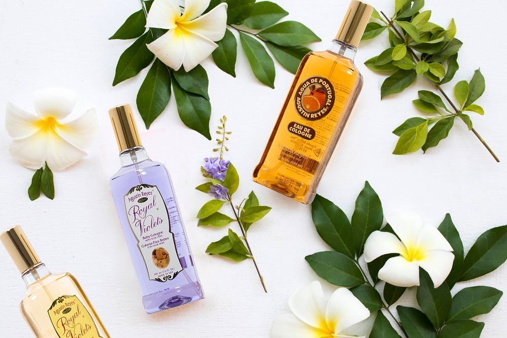 Royal Violets with Aloe Vera – Healthtex Distributors
